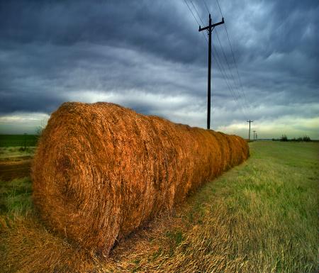 fieldofhaywithutilitypole