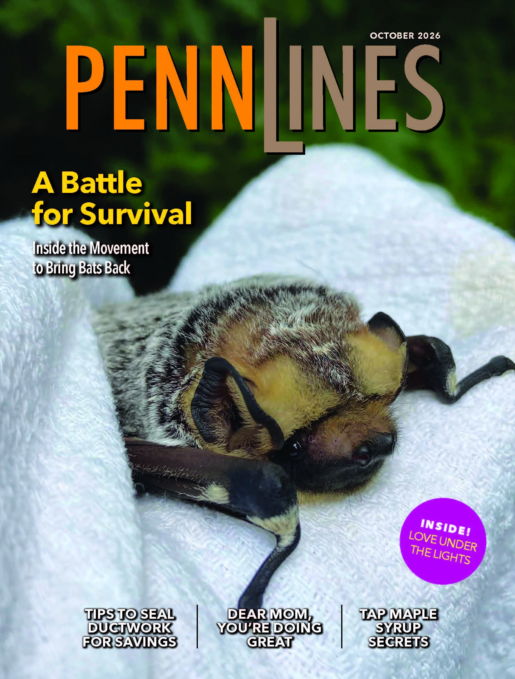 October 2026 Penn Lines Cover